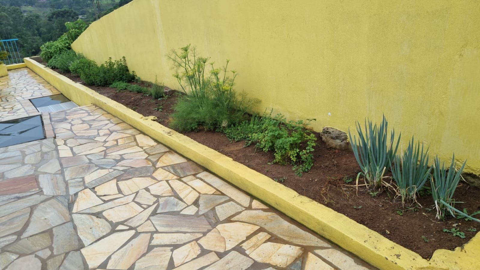 Área Externa - Foto 2