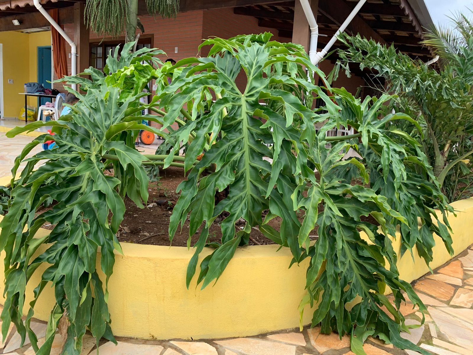 Área Externa - Foto 11